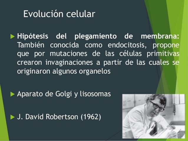III. La célula como unidad de vida (2)