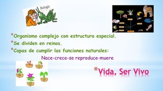 *Organismo complejo con estructura especial.
*Se dividen en reinos.
*Capas de cumplir las funciones naturales:
Nace-crece-se reproduce-muere
*Vida, Ser Vivo