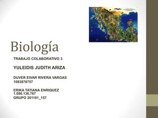 Biología
TRABAJO COLABORATIVO 3
CATHERYNE ARIAS GONZALEZ
DUVER EIVAR RIVERA VARGAS
YULEIDIS JUDITH ARIZA
ERIKA TATIANA ENRIQUEZ
GRUPO 201191_157
 