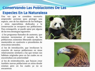 Una vez que se considera necesario
emprender acciones para proteger una
especie, uno de los objetivos de los biólogos
y otros especialistas dedicados a la
conservación es recuperar sus poblaciones.
Para conseguirlo, se puede optar por alguna
de las tres estrategias siguientes:
1) los programas llamados de aumento, que
intentan incrementar el tamaño de las
poblaciones existentes liberando ejemplares
mantenidos en cautiverio o procedentes de
otras áreas naturales;
2) los de introducción, que involucran la
creación de nuevas poblaciones en áreas
relativamente similares a las que tenían sus
hábitats originales pero en las cuales no se
encontraban con anterioridad
3) los de reintroducción, que buscan crear
también nuevas poblaciones en sitios donde
existían pero en los cuales ya no se
encuentran
 