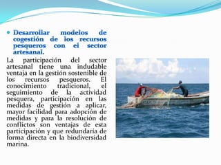.
La participación del sector
artesanal tiene una indudable
ventaja en la gestión sostenible de
los recursos pesqueros. El
conocimiento tradicional, el
seguimiento de la actividad
pesquera, participación en las
medidas de gestión a aplicar,
mayor facilidad para adopción de
medidas y para la resolución de
conflictos son ventajas de esta
participación y que redundaría de
forma directa en la biodiversidad
marina.
 