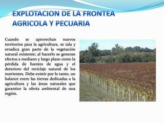 Cuando se aprovechan nuevos
territorios para la agricultura, se tala y
erradica gran parte de la vegetación
natural existente; al hacerlo se generan
efectos a mediano y largo plazo como la
pérdida de fuentes de agua y el
deterioro del reciclaje natural de los
nutrientes. Debe existir por lo tanto, un
balance entre las tierras dedicadas a la
agricultura y las áreas naturales que
garantice la oferta ambiental de una
región.
 