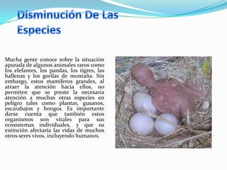 Mucha gente conoce sobre la situación
apurada de algunos animales raros como
los elefantes, los pandas, los tigres, las
ballenas y los gorilas de montaña. Sin
embargo, estos mamíferos grandes, al
atraer la atención hacia ellos, no
permiten que se preste la necesaria
atención a muchas otras especies en
peligro tales como plantas, gusanos,
escarabajos y hongos. Es importante
darse cuenta que también estos
organismos son vitales para sus
ecosistemas individuales, y que su
extinción afectaría las vidas de muchos
otros seres vivos, incluyendo humanos.
 