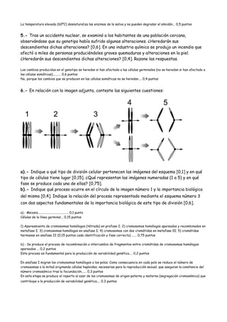 La temperatura elevada (60ºC) desnaturaliza las enzimas de la saliva y no pueden degradar el almidón... 0,5 puntos
5.- Tras un accidente nuclear, se examinó a los habitantes de una población cercana,
observándose que su genotipo había sufrido algunas alteraciones. ¿Heredarán sus
descendientes dichas alteraciones? [0,6]. En una industria química se produjo un incendio que
afectó a miles de personas produciéndoles graves quemaduras y alteraciones en la piel.
¿Heredarán sus descendientes dichas alteraciones? [0,4]. Razone las respuestas.
Los cambios producidos en el genotipo se heredan si han afectado a las células germinales (no se heredan si han afectado a
las células somáticas).......... 0,6 puntos
No, porque los cambios que se producen en las células somáticas no se heredan.... 0,4 puntos
6.- En relación con la imagen adjunta, conteste las siguientes cuestiones:
a).- Indique a qué tipo de división celular pertenecen las imágenes del esquema [0,1] y en qué
tipo de células tiene lugar [0,15]. ¿Qué representan las imágenes numeradas (1 a 5) y en qué
fase se produce cada una de ellas? [0,75].
b).- Indique qué proceso ocurre en el círculo de la imagen número 1 y la importancia biológica
del mismo [0,4]. Indique la relación del proceso representado mediante el esquema número 3
con dos aspectos fundamentales de la importancia biológica de este tipo de división [0,6].
a).- Meiosis...................................... 0,1 punto
Células de la línea germinal... 0,15 puntos
1) Apareamiento de cromosomas homólogos (tétrada) en profase I; 2) cromosomas homólogos apareados y recombinados en
metafase I; 3) cromosomas homólogos en anafase I; 4) cromosomas con dos cromátidas en metafase II; 5) cromátidas
hermanas en anafase II (0,15 puntos cada identificación y fase correcta) ...... 0,75 puntos
b).- Se produce el proceso de recombinación o intercambio de fragmentos entre cromátidas de cromosomas homólogos
apareados ... 0,2 puntos
Este proceso es fundamental para la producción de variabilidad genética.... 0,2 puntos
En anafase I migran los cromosomas homólogos a los polos. Como consecuencia en cada polo se reduce el número de
cromosomas a la mitad originando células haploides, necesarias para la reproducción sexual, que aseguran la constancia del
número cromosómico tras la fecundación...... 0,3 puntos
En esta etapa se produce el reparto al azar de los cromosomas de origen paterno y materno (segregación cromosómica) que
contribuye a la producción de variabilidad genética.... 0,3 puntos
 