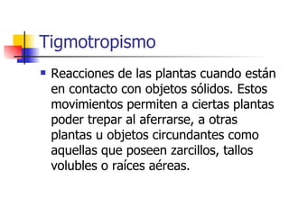 Tigmotropismo Reacciones de las plantas cuando están en contacto con objetos sólidos. Estos movimientos permiten a ciertas plantas poder trepar al aferrarse, a otras plantas u objetos circundantes como aquellas que poseen zarcillos, tallos volubles o raíces aéreas.  