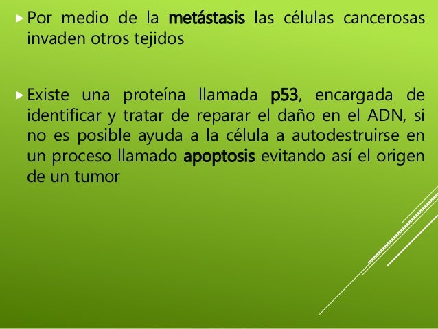 El libro allena del lapiaz a dejar fumar el modo fácil comprar