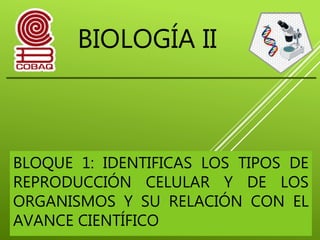 BIOLOGÍA II
BLOQUE 1: IDENTIFICAS LOS TIPOS DE
REPRODUCCIÓN CELULAR Y DE LOS
ORGANISMOS Y SU RELACIÓN CON EL
AVANCE CIENTÍFICO
 