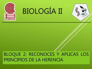 BIOLOGÍA II
BLOQUE 2: RECONOCES Y APLICAS LOS
PRINCIPIOS DE LA HERENCIA
 