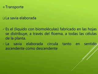 Transporte
La savia elaborada
 Es el (liquido con biomoléculas) fabricado en las hojas
se distribuye, a través del floema, a todas las células
de la planta.
 La savia elaborada circula tanto en sentido
ascendente como descendente
 