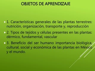 OBJETOS DE APRENDIZAJE
1. Características generales de las plantas terrestres:
nutrición, organización, transporte y, reproducción
2. Tipos de tejidos y células presentes en las plantas:
dérmico, fundamental, vascular
3. Beneficio del ser humano importancia biológica,
cultural, social y económica de las plantas en México
y el mundo.
 