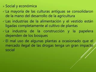  Social y económica
 La mayoría de las culturas antiguas se consolidaron
de la mano del desarrollo de la agricultura
 Las industrias de la alimentación y el vestido están
ligadas completamente al cultivo de plantas
 La industria de la construcción y la papelera
dependen de los bosques
 El mal uso de algunas plantas a ocasionado que el
mercado ilegal de las drogas tenga un gran impacto
social
 