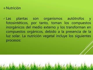 Nutrición
 Las plantas son organismos autótrofos y
fotosintéticos, por tanto, toman los compuestos
inorgánicos del medio externo y los transforman en
compuestos orgánicos, debido a la presencia de la
luz solar. La nutrición vegetal incluye los siguientes
procesos:
 