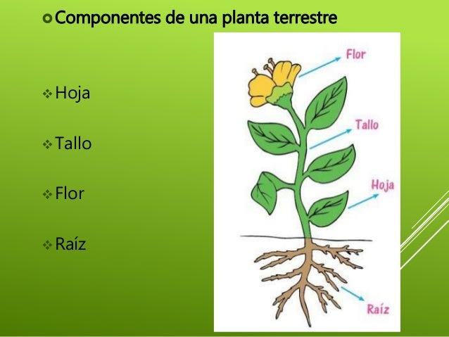 Imagen relacionada