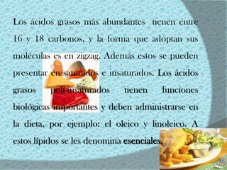 Los ácidos grasos más abundantes tienen entre
16 y 18 carbonos, y la forma que adoptan sus
moléculas es en zigzag. Además estos se pueden
presentar en saturados e insaturados. Los ácidos
grasos    poli-insaturados    tienen    funciones
biológicas importantes y deben administrarse en
la dieta, por ejemplo: el oleico y linoleico. A
estos lípidos se les denomina esenciales.
 