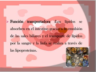    Función transportadora :Los lípidos se
    absorben en el intestino gracias a la emulsión
    de las sales biliares y el transporte de lípidos
    por la sangre y la linfa se realiza a través de
    las lipoproteínas.
 