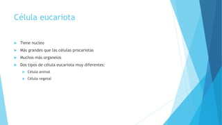 Célula eucariota
 Tiene nucleo
 Más grandes que las células procariotas
 Muchos más organelos
 Dos tipos de célula eucariota muy diferentes:
 Célula animal
 Célula vegetal
 