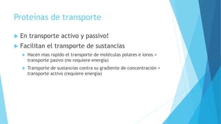 Proteínas de transporte
 En transporte activo y passivo!
 Facilitan el transporte de sustancias
 Hacen mas rapido el transporte de moléculas polares e ionos =
transporte pasivo (no requiere energía)
 Transporte de sustancias contra su gradiente de concentración =
transporte activo (requiere energía)
 
