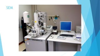 SEM
 