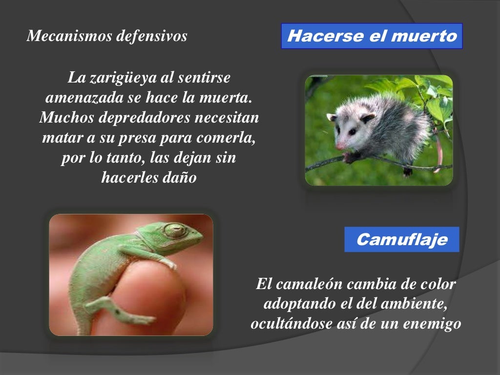 Biología 4to año significado de la vida - mecanismos de defensa en