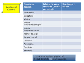  Corrija en el cuaderno1. ¿Qué es un organelo (página 19)?2. ¿Cuál de la lista NO es un organelo?
