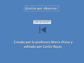 Gracias por observar.¿Ver de nuevo?Creado por la profesora María Olave yeditado por Carlos Rojas.
