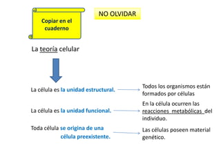 Copiar en el cuadernoNO OLVIDAR La teoría celularTodos los organismos están formados por célulasLa célula es la unidad estructural.En la célula ocurren las reacciones  metabólicas  del individuo.La célula es la unidad funcional.Toda célula se origina de una célula preexistente.Las células poseen materialgenético.