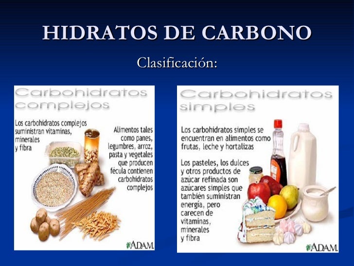 Biología alimentación y nutrición