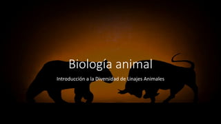 Biología animal
Introducción a la Diversidad de Linajes Animales
 