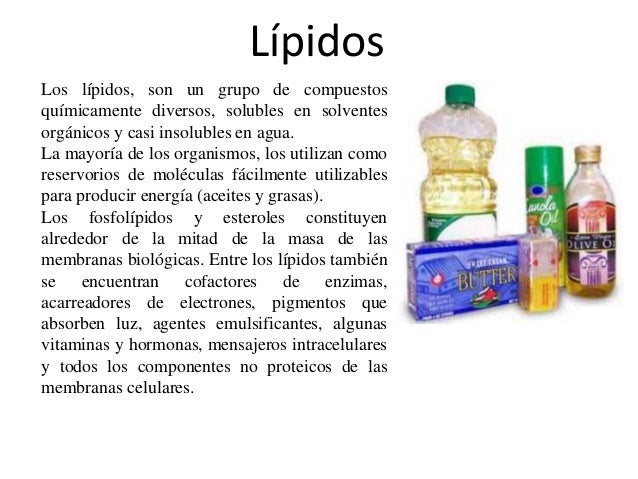 Resultado de imagen para bioelementos lipidos