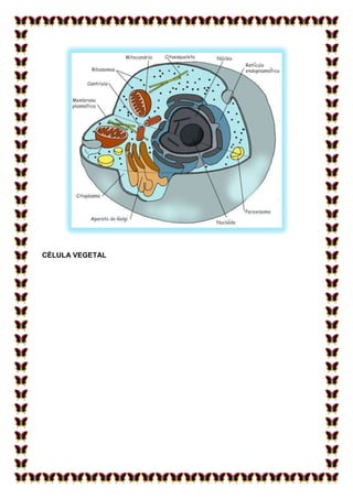 CÉLULA VEGETAL

 