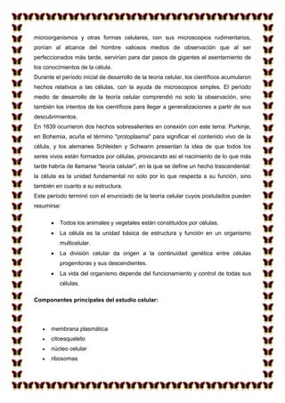 microorganismos y otras formas celulares, con sus microscopios rudimentarios,
ponían al alcance del hombre valiosos medios de observación que al ser
perfeccionados más tarde, servirían para dar pasos de gigantes al asentamiento de
los conocimientos de la célula.
Durante el período inicial de desarrollo de la teoría celular, los científicos acumularon
hechos relativos a las células, con la ayuda de microscopios simples. El período
medio de desarrollo de la teoría celular comprendió no solo la observación, sino
también los intentos de los científicos para llegar a generalizaciones a partir de sus
descubrimientos.
En 1839 ocurrieron dos hechos sobresalientes en conexión con este tema: Purkinje,
en Bohemia, acuña el término "protoplasma" para significar el contenido vivo de la
célula, y los alemanes Schleiden y Schwann presentan la idea de que todos los
seres vivos están formados por células, provocando así el nacimiento de lo que más
tarde habría de llamarse "teoría celular", en la que se define un hecho trascendental:
la célula es la unidad fundamental no solo por lo que respecta a su función, sino
también en cuanto a su estructura.
Este período terminó con el enunciado de la teoría celular cuyos postulados pueden
resumirse:
Todos los animales y vegetales están constituidos por células.
La célula es la unidad básica de estructura y función en un organismo
multicelular.
La división celular da origen a la continuidad genética entre células
progenitoras y sus descendientes.
La vida del organismo depende del funcionamiento y control de todas sus
células.
Componentes principales del estudio celular:

membrana plasmática
citoesqueleto
núcleo celular
ribosomas

 