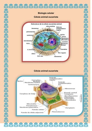 Biología celular
Célula animal eucariota

Célula animal eucariota

 