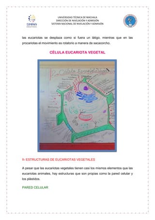 UNIVERSIDAD TÉCNICA DE MACHALA
DIRECCIÓN DE NIVELACIÓN Y ADMISIÓN
SISTEMA NACIONAL DE NIVELACIÓN Y ADMISIÓN

las eucariotas se desplaza como si fuera un látigo, mientras que en las
procariotas el movimiento es rotatorio a manera de sacacorcho.

CÈLULA EUCARIOTA VEGETAL

II- ESTRUCTURAS DE EUCARIOTAS VEGETALES
A pesar que las eucariotas vegetales tienen casi los mismos elementos que las
eucariotas animales, hay estructuras que son propias como la pared celular y
los plástidos.
PARED CELULAR

 