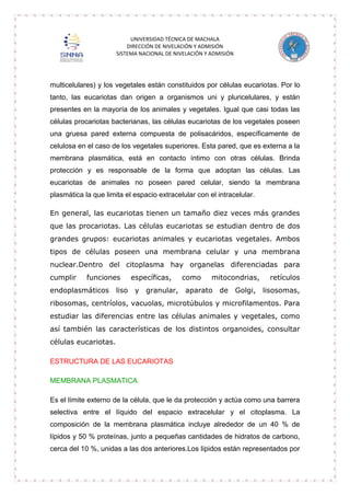 UNIVERSIDAD TÉCNICA DE MACHALA
DIRECCIÓN DE NIVELACIÓN Y ADMISIÓN
SISTEMA NACIONAL DE NIVELACIÓN Y ADMISIÓN

multicelulares) y los vegetales están constituidos por células eucariotas. Por lo
tanto, las eucariotas dan origen a organismos uni y pluricelulares, y están
presentes en la mayoría de los animales y vegetales. Igual que casi todas las
células procariotas bacterianas, las células eucariotas de los vegetales poseen
una gruesa pared externa compuesta de polisacáridos, específicamente de
celulosa en el caso de los vegetales superiores. Esta pared, que es externa a la
membrana plasmática, está en contacto íntimo con otras células. Brinda
protección y es responsable de la forma que adoptan las células. Las
eucariotas de animales no poseen pared celular, siendo la membrana
plasmática la que limita el espacio extracelular con el intracelular.
En general, las eucariotas tienen un tamaño diez veces más grandes
que las procariotas. Las células eucariotas se estudian dentro de dos
grandes grupos: eucariotas animales y eucariotas vegetales. Ambos
tipos de células poseen una membrana celular y una membrana
nuclear.Dentro del citoplasma hay organelas diferenciadas para
cumplir

funciones

endoplasmáticos

específicas,

como

mitocondrias,

retículos

liso y granular, aparato de Golgi, lisosomas,

ribosomas, centríolos, vacuolas, microtúbulos y microfilamentos. Para
estudiar las diferencias entre las células animales y vegetales, como
así también las características de los distintos organoides, consultar
células eucariotas.
ESTRUCTURA DE LAS EUCARIOTAS
MEMBRANA PLASMATICA
Es el límite externo de la célula, que le da protección y actúa como una barrera
selectiva entre el líquido del espacio extracelular y el citoplasma. La
composición de la membrana plasmática incluye alrededor de un 40 % de
lípidos y 50 % proteínas, junto a pequeñas cantidades de hidratos de carbono,
cerca del 10 %, unidas a las dos anteriores.Los lípidos están representados por

 