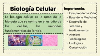 Biología Celular
•
•
•
•
•
 