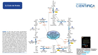 Biología Celular y Molecular: Conceptos y
Experimentos – Gerald Karp – 6 Edición
Autor del libro: Gerald Karp
Año de publicación: 2011
Categoría: Biologia
3) Ciclo de Krebs
 