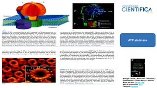 ATP sintetasa
Biología Celular y Molecular: Conceptos y
Experimentos – Gerald Karp – 6 Edición
Autor del libro: Gerald Karp
Año de publicación: 2011
Categoría: Biologia
 