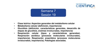 • Clase teórica: Aspectos generales del metabolismo celular
• Metabolismo celular (definición, importancia)
• Glucólisis (definición, características generales, desarrollo de
etapas de glucólisis, enzimas involucradas, importancia)
• Respiración celular (tipos y características generales).
Respiración aeróbica (procesos moleculares involucrados,
importancia). Respiración anaeróbica (procesos moleculares
involucrados, importancia). Patologías asociadas.
Semana 7
Sesión 19
 
