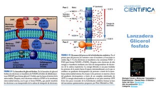 Biología Celular y Molecular: Conceptos y
Experimentos – Gerald Karp – 6 Edición
Autor del libro: Gerald Karp
Año de publicación: 2011
Categoría: Biologia
Lanzadera
Glicerol
fosfato
 