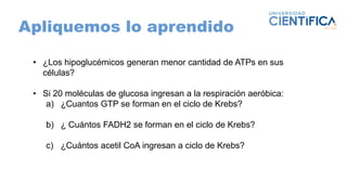 Apliquemos lo aprendido
• ¿Los hipoglucémicos generan menor cantidad de ATPs en sus
células?
• Si 20 moléculas de glucosa ingresan a la respiración aeróbica:
a) ¿Cuantos GTP se forman en el ciclo de Krebs?
b) ¿ Cuántos FADH2 se forman en el ciclo de Krebs?
c) ¿Cuántos acetil CoA ingresan a ciclo de Krebs?
 