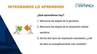 INTEGRAMOS LO APRENDIDO
¿Qué aprendimos hoy?
1. Mencione las etapas de la glucolisis.
2. Mencione las etapas de la respiración celular
aeróbica.
3. De los dos tipos de respiración estudiados ¿cuál
de ellos es energéticamente más rentable?.
 