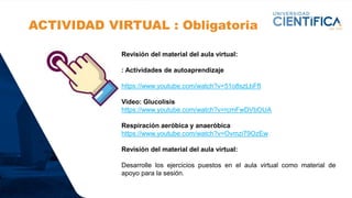 ACTIVIDAD VIRTUAL : Obligatoria
Revisión del material del aula virtual:
: Actividades de autoaprendizaje
https://www.youtube.com/watch?v=51o8szLbFfI
Video: Glucolisis
https://www.youtube.com/watch?v=rcmFwDVbOUA
Respiración aeróbica y anaeróbica
https://www.youtube.com/watch?v=Ovmzi79OzEw
Revisión del material del aula virtual:
Desarrolle los ejercicios puestos en el aula virtual como material de
apoyo para la sesión.
 