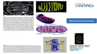 Biología Celular y Molecular: Conceptos y
Experimentos – Gerald Karp – 6 Edición
Autor del libro: Gerald Karp
Año de publicación: 2011
Categoría: Biologia
Estructura de la mitocondria
 