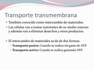 Transporte transmembrana
 También conocido como intercambio de materiales.
 Las células van a tomar nutrientes de su medio externo
y además van a eliminar desechos y otros productos.
 El intercambio de materiales se da de dos formas:
 Transporte pasivo: Cuando se realiza sin gasto de ATP.
 Transporte activo: Cuando se realiza gastando ATP.
 