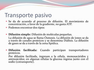 Transporte pasivo
 Se da de acuerdo al proceso de difusión. El movimiento de
concentración, a favor de la gradiente, no gasta ATP.
 Podemos encontrar dos tipos:
 Difusión simple: Difusión de moléculas pequeñas.
La difusión de agua se llama Ósmosis. La difusión de iones se da
a través de canales proteicos y se denomina Diálisis. La difusión
de gases se da a través de la zona lipídica.
 Difusión facilitada: Cuando participan transportadores
proteicos.
Por difusión facilitada, ingresan a la célula, monosacáridos y
aminoácidos; en algunas células la glucosa ingresa junto con el
sodio (cotransporte).
 