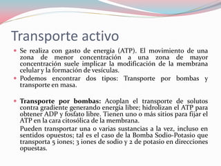 Transporte activo
 Se realiza con gasto de energía (ATP). El movimiento de una
zona de menor concentración a una zona de mayor
concentración suele implicar la modificación de la membrana
celular y la formación de vesículas.
 Podemos encontrar dos tipos: Transporte por bombas y
transporte en masa.
 Transporte por bombas: Acoplan el transporte de solutos
contra gradiente generando energía libre; hidrolizan el ATP para
obtener ADP y fosfato libre. Tienen uno o más sitios para fijar el
ATP en la cara citosólica de la membrana.
Pueden transportar una o varias sustancias a la vez, incluso en
sentidos opuestos; tal es el caso de la Bomba Sodio-Potasio que
transporta 5 iones; 3 iones de sodio y 2 de potasio en direcciones
opuestas.
 