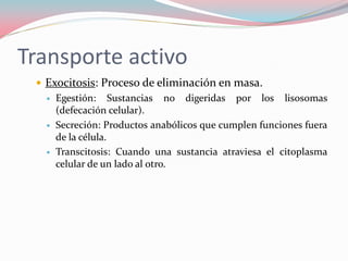 Transporte activo
 Exocitosis: Proceso de eliminación en masa.
 Egestión: Sustancias no digeridas por los lisosomas
(defecación celular).
 Secreción: Productos anabólicos que cumplen funciones fuera
de la célula.
 Transcitosis: Cuando una sustancia atraviesa el citoplasma
celular de un lado al otro.
 