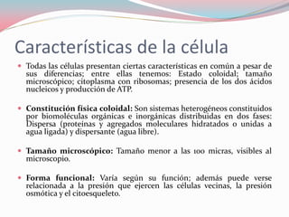 Características de la célula
 Todas las células presentan ciertas características en común a pesar de
sus diferencias; entre ellas tenemos: Estado coloidal; tamaño
microscópico; citoplasma con ribosomas; presencia de los dos ácidos
nucleicos y producción de ATP.
 Constitución física coloidal: Son sistemas heterogéneos constituidos
por biomoléculas orgánicas e inorgánicas distribuidas en dos fases:
Dispersa (proteínas y agregados moleculares hidratados o unidas a
agua ligada) y dispersante (agua libre).
 Tamaño microscópico: Tamaño menor a las 100 micras, visibles al
microscopio.
 Forma funcional: Varía según su función; además puede verse
relacionada a la presión que ejercen las células vecinas, la presión
osmótica y el citoesqueleto.
 