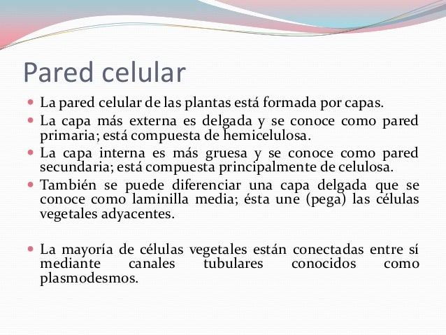 Biología celular i pre