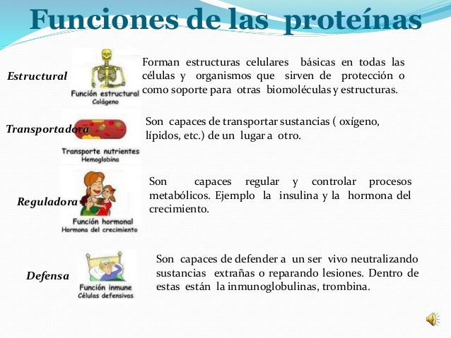 Biología celular y molecular